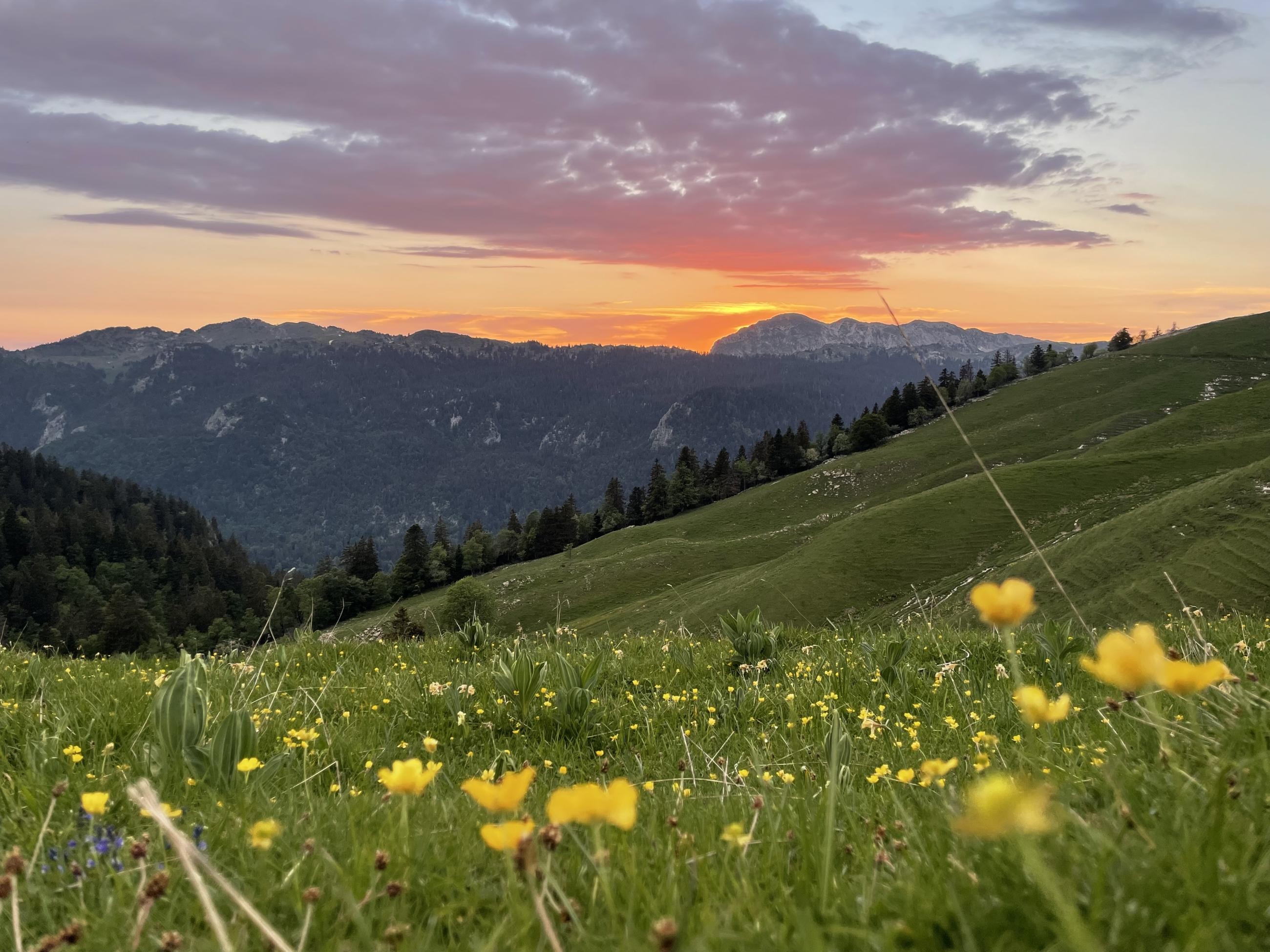 La montagne est jolie mais .... 