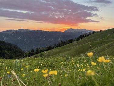 La montagne est jolie mais .... 