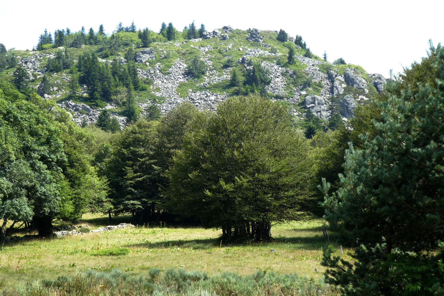 Au pied du SÃ©poux