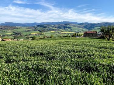 Au retour, vue sur le Pilat, la vallée du  Gier et la chapelle