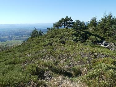 Au sommet de la Roche du Bachat