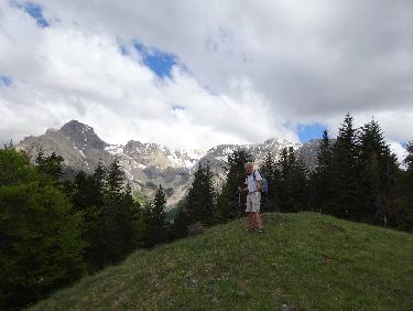Au sommet de la tÃªte PlumÃ©e