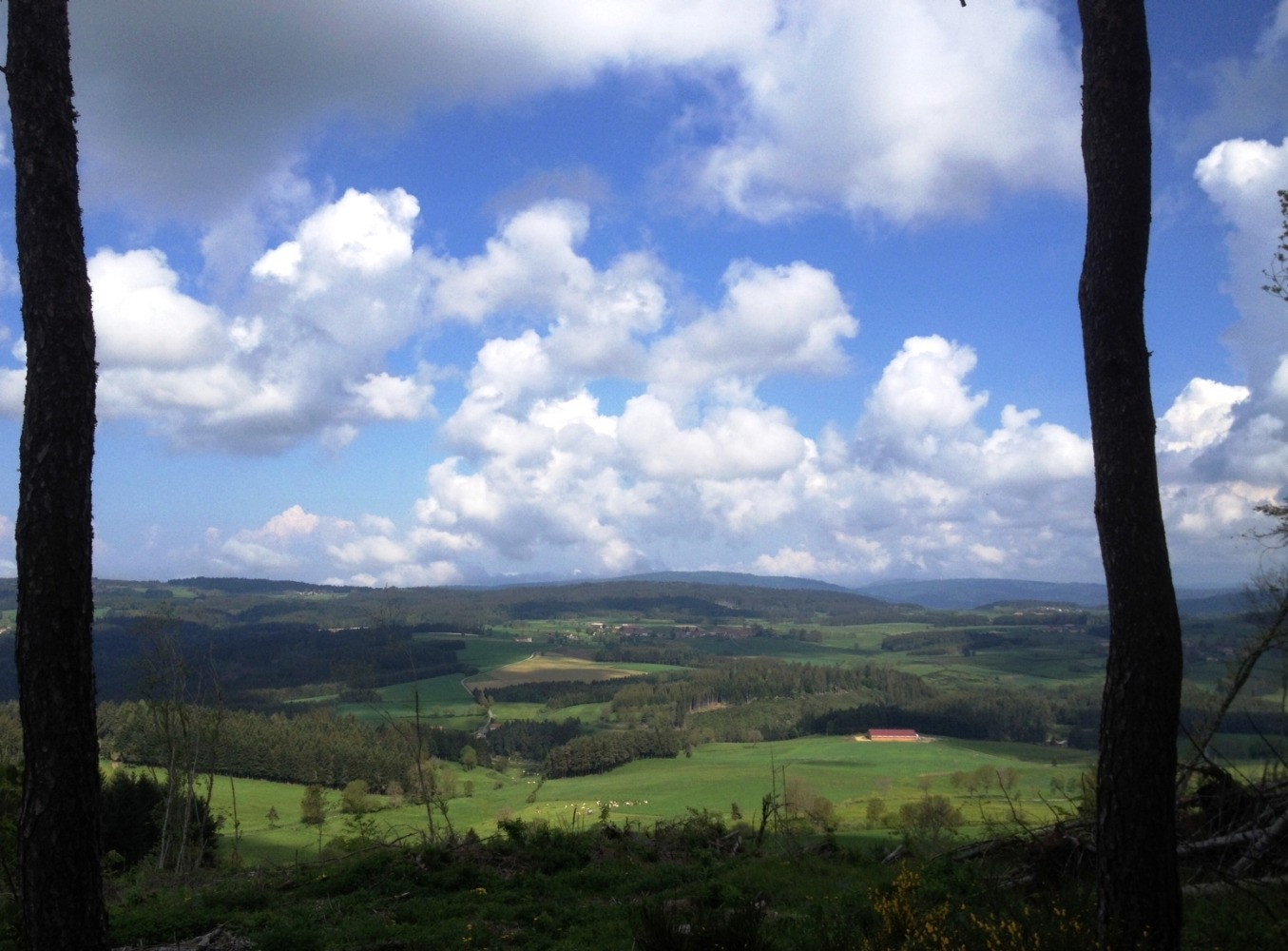 Au sommet du Mont Baury