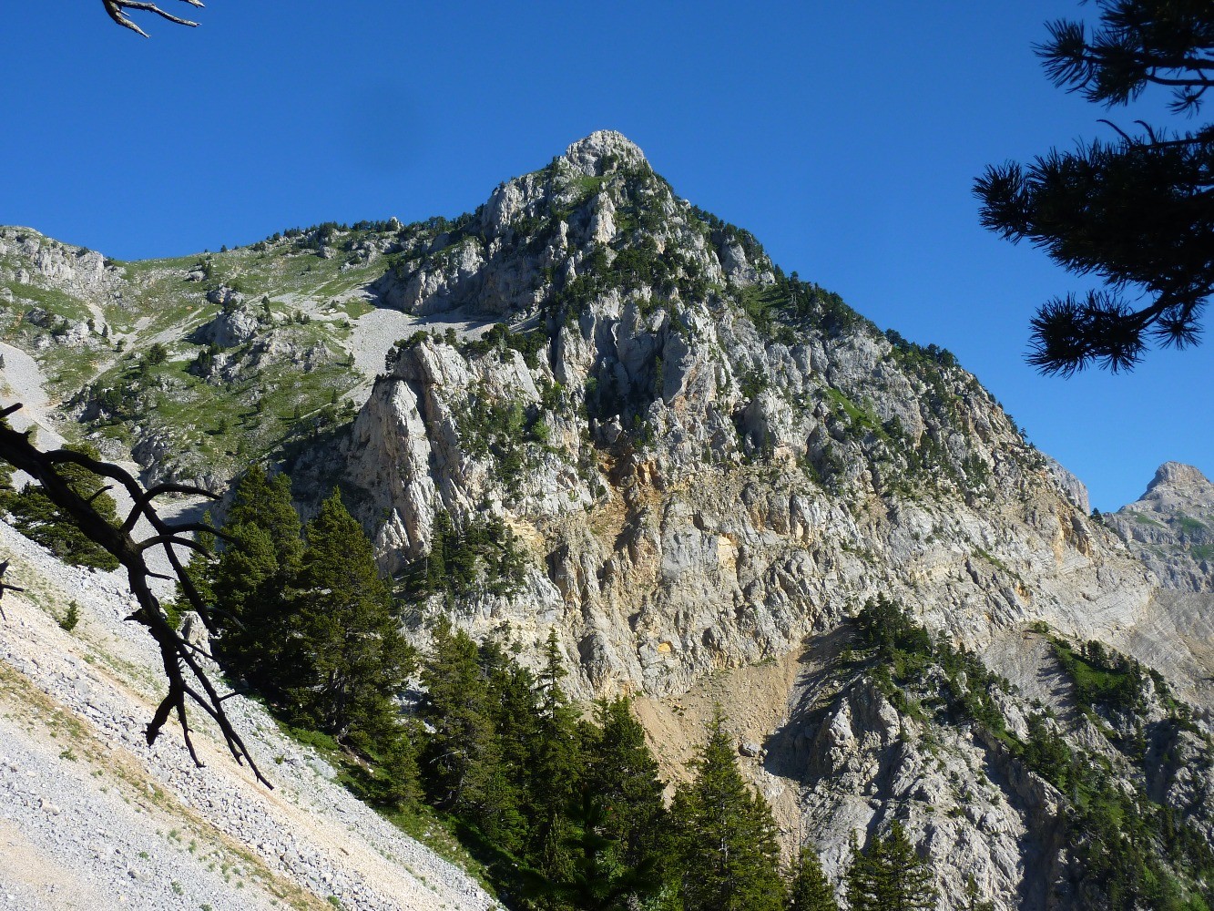 Au sortir de la sapiniÃ¨re, vue sur le sommet de Peyre-Rouge