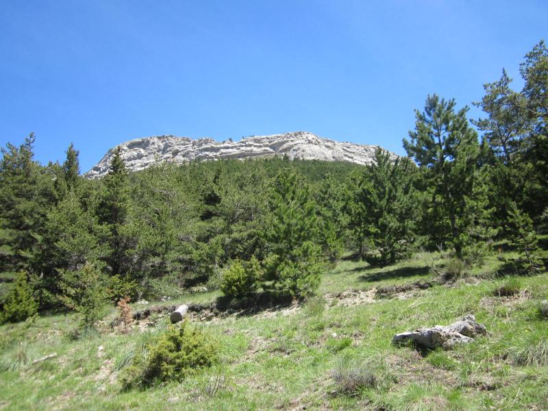 au col d'Aujour