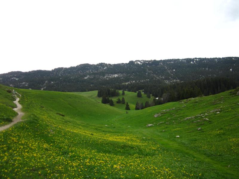 au col de l'Alpette