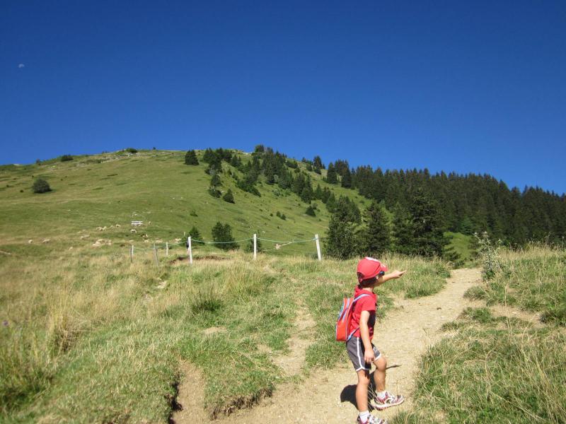 au col des Ayes