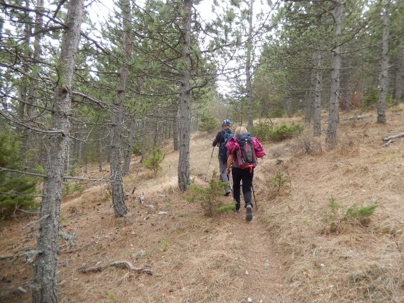 au-dessus du Col de Berthaud