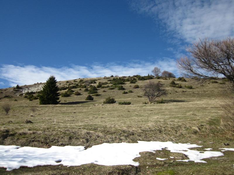 au hameau de Sornin
