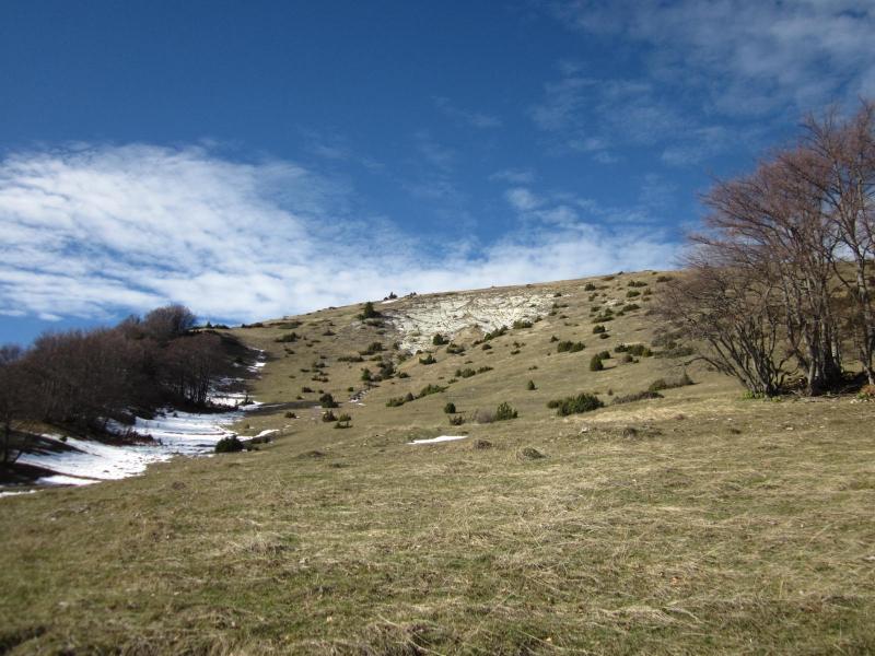 au hameau de Sornin