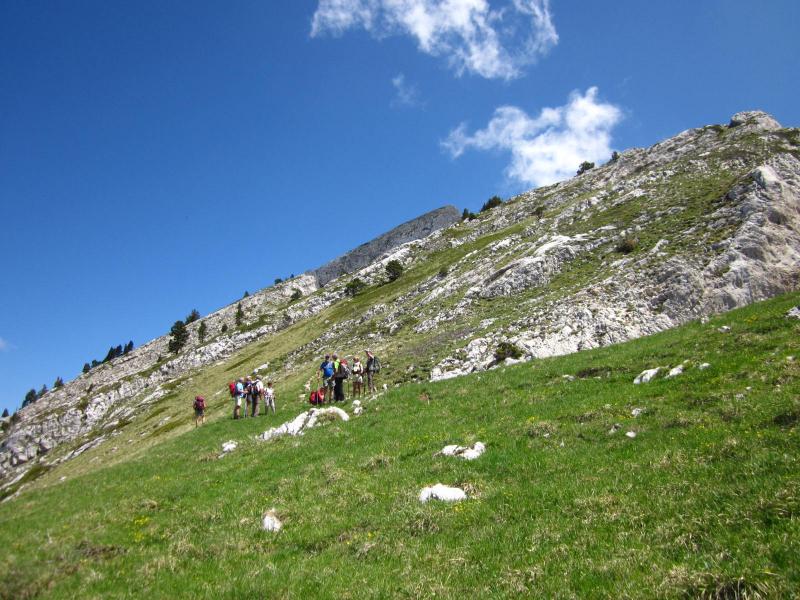 au pas Ernadant