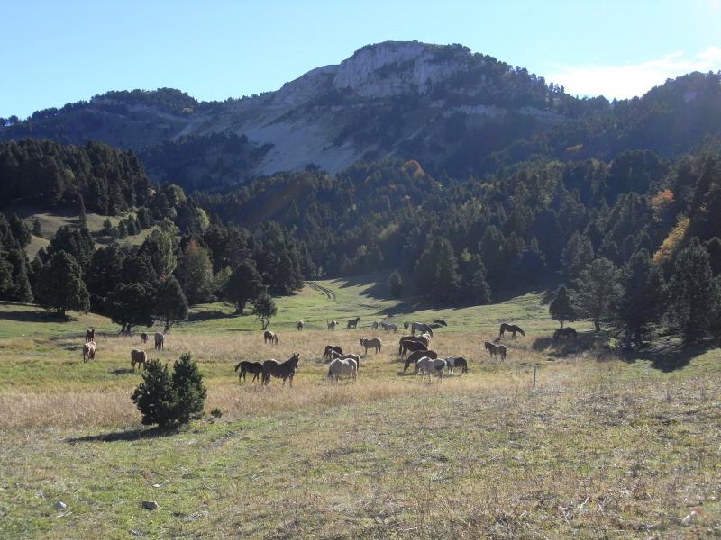 au pied de Tête Chevalière