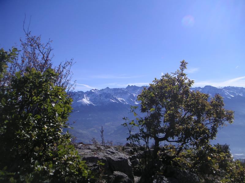 au sommet