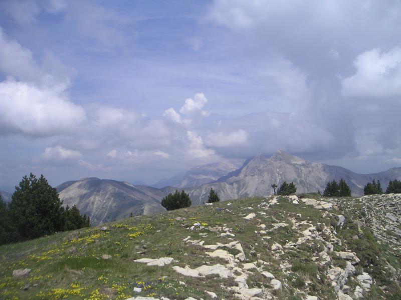 au sommet