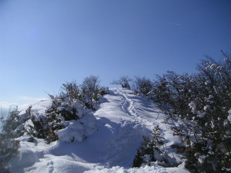 au sommet