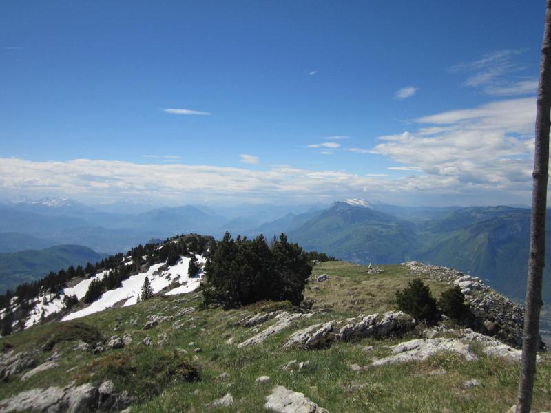 au sommet