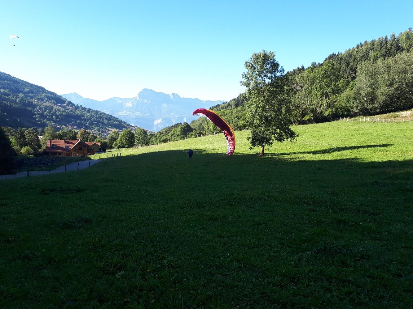auprÃ¨s de mon arbre