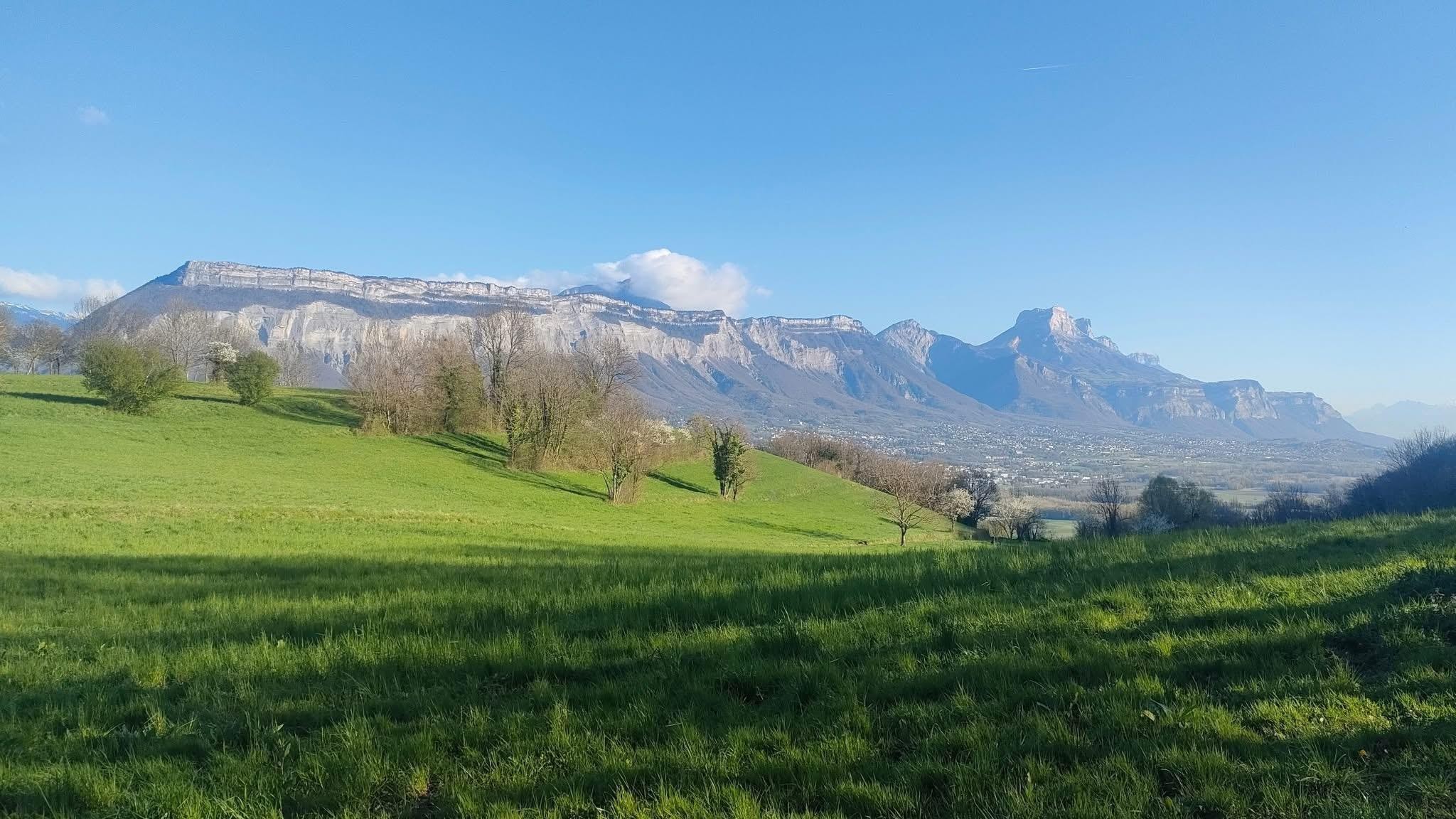 Autour de l’arbre isolé de Venon 