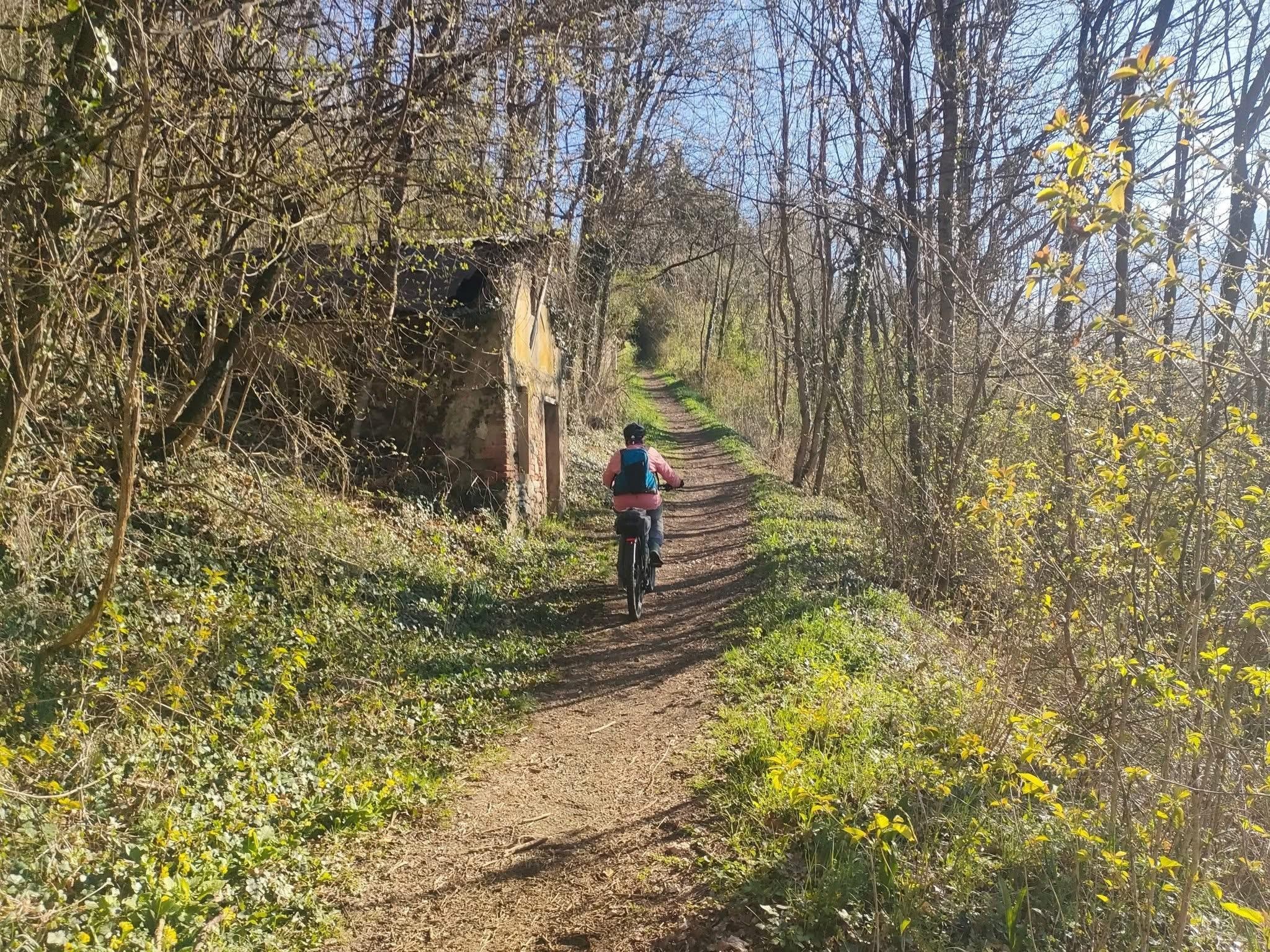 Autour de l’arbre isolé de Venon 