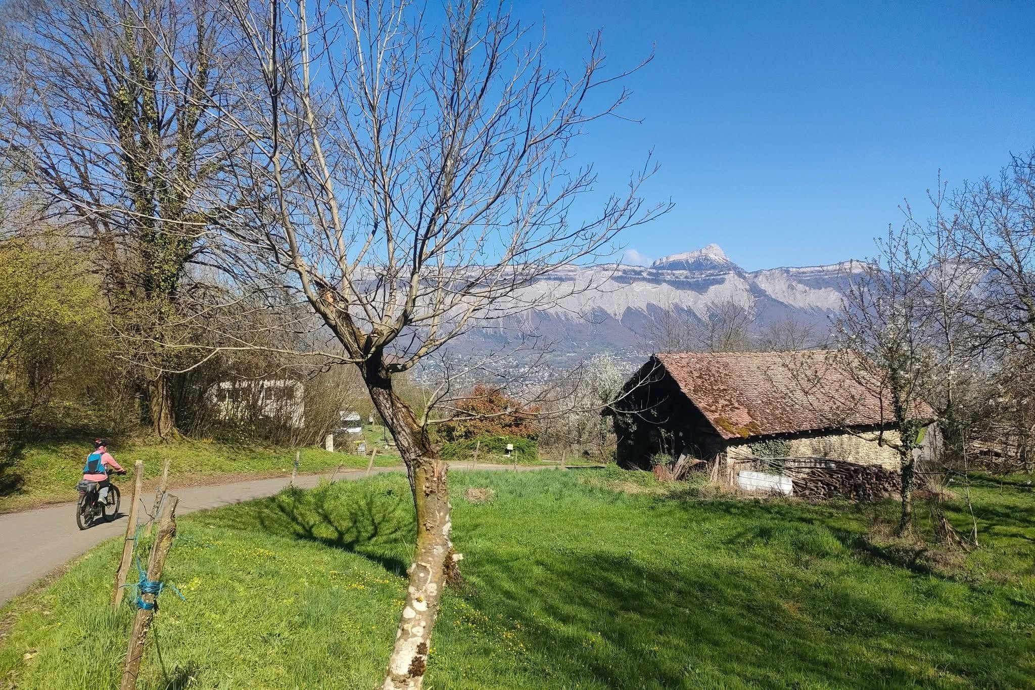 Autour de l’arbre isolé de Venon 