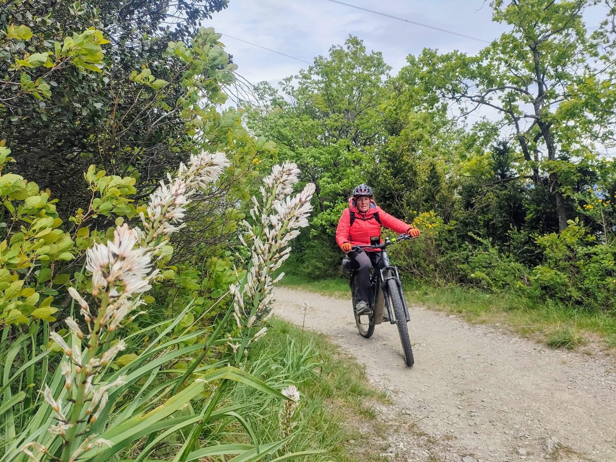 autour du Plateau Saint Ange en VTT