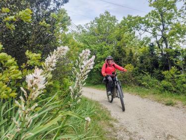 autour du Plateau Saint Ange en VTT
