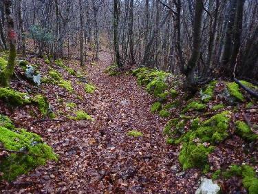 Autre partie basse du chemin