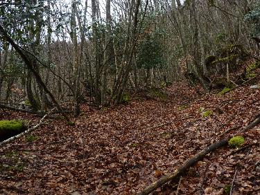 Autre passage du chemin creux, et feuillu