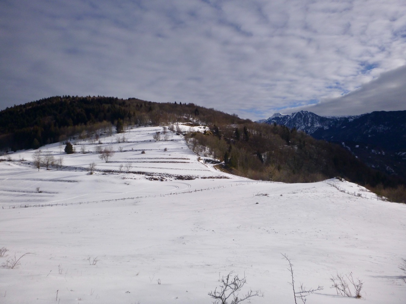 La plaine au loup  