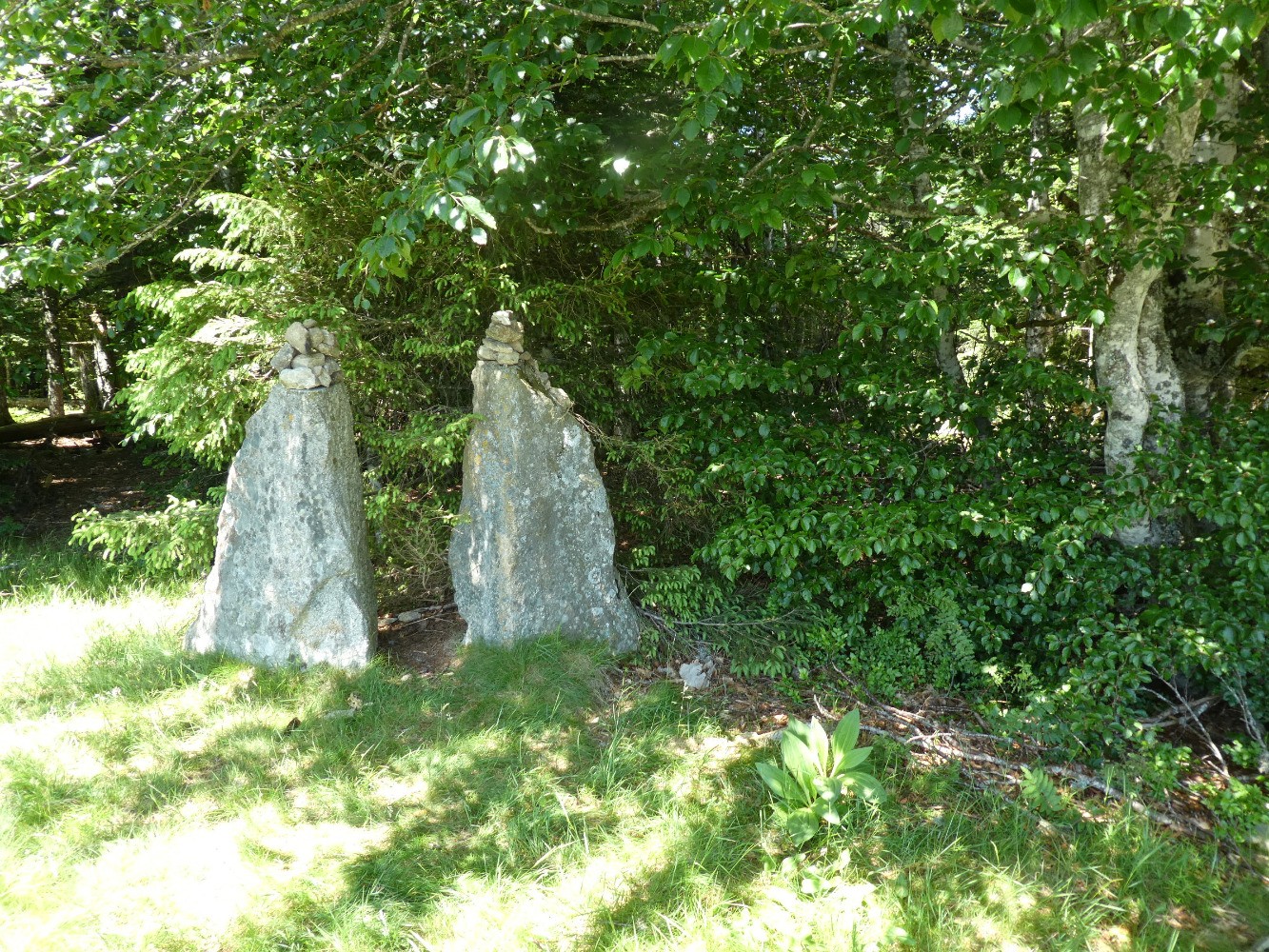 Aux Deux Boules (sic)