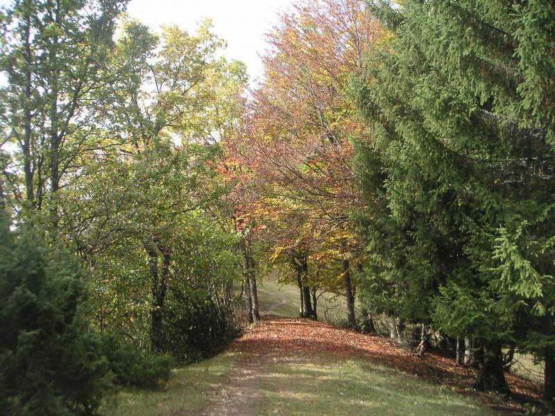 aux environs du rocher de Manettaz