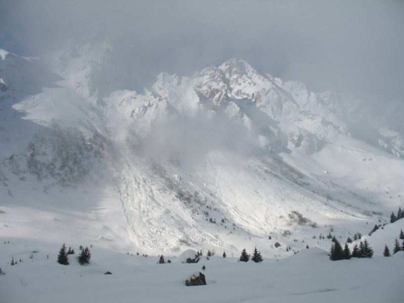 avalanches.