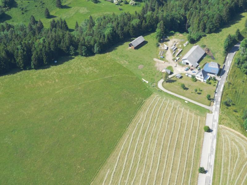 avec une belle trace d'herbe piétinée