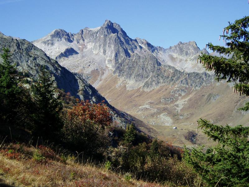 Bacheux