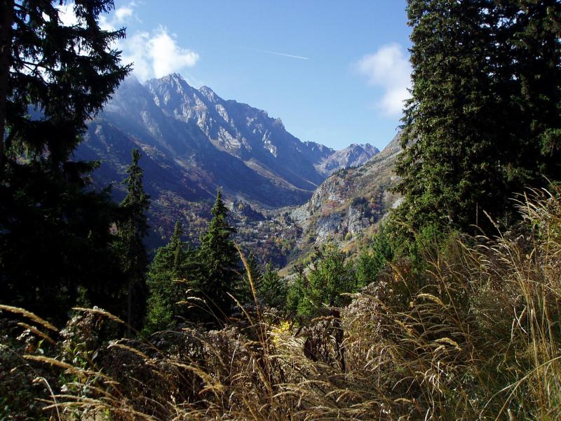 Bacheux