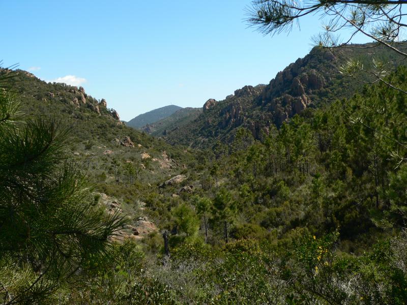 Baisse de la Grosse Vache