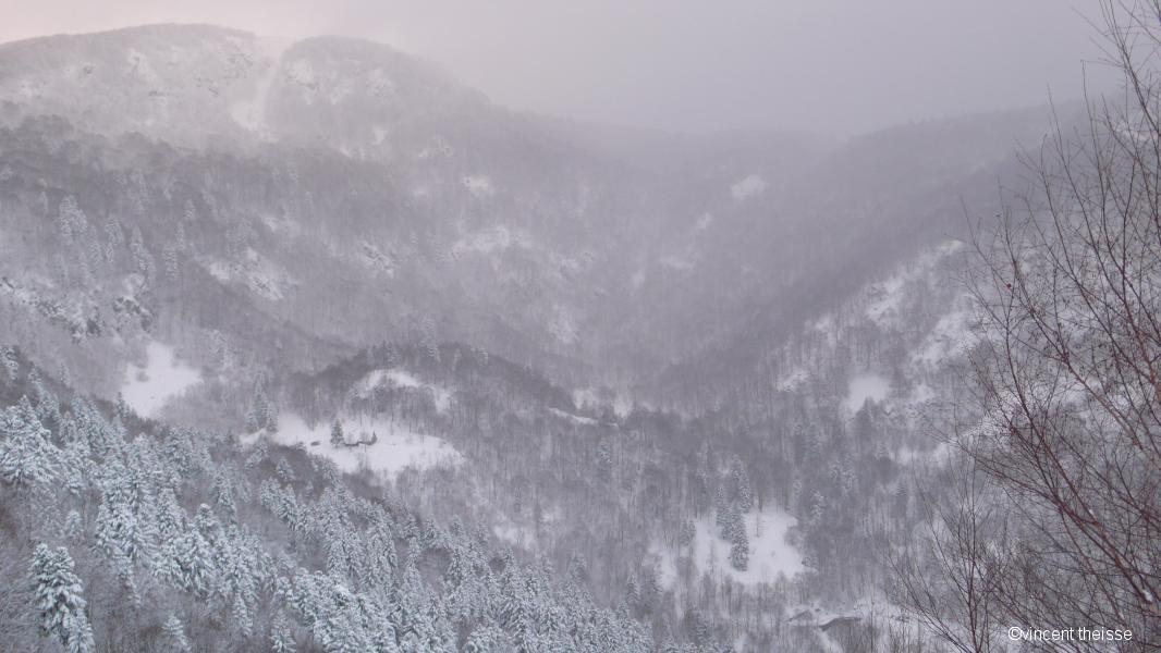 Ballon d'Alsace- Alt.1247m