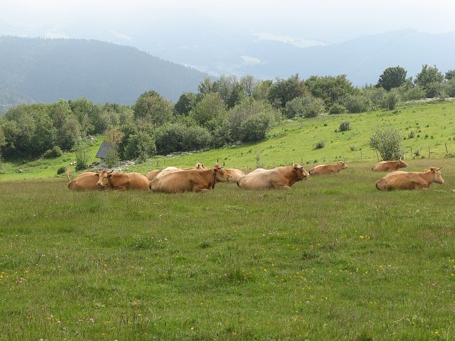 Baraque des Ramées