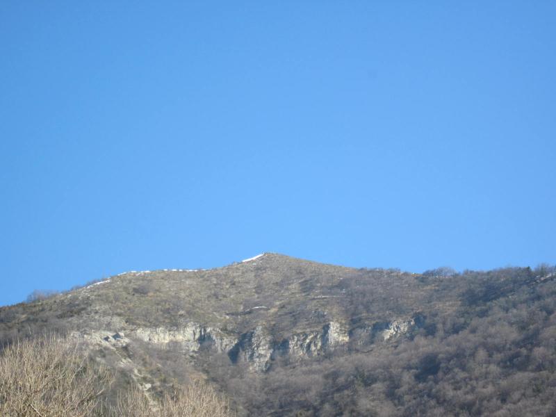 Bec Pointu
