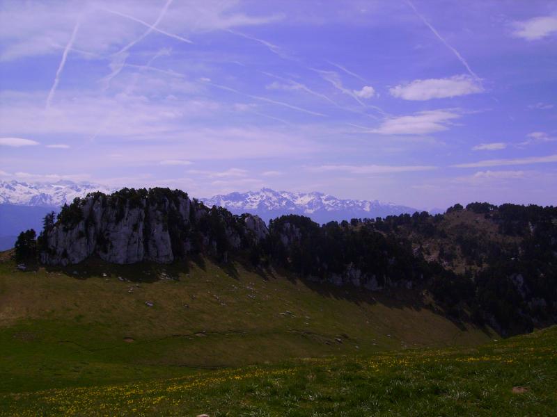 Belle ambiance