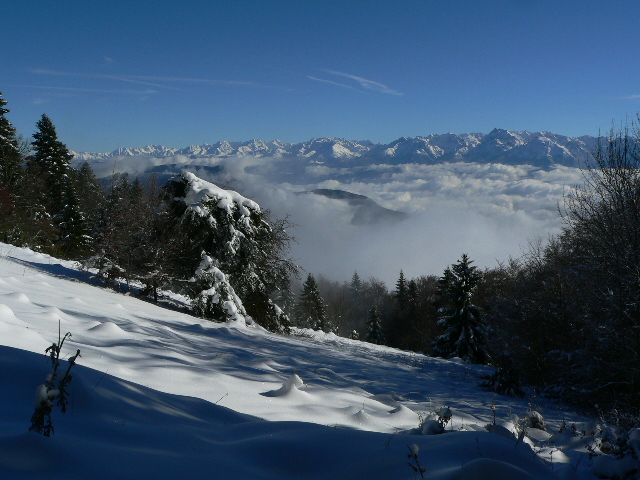 Belledonne