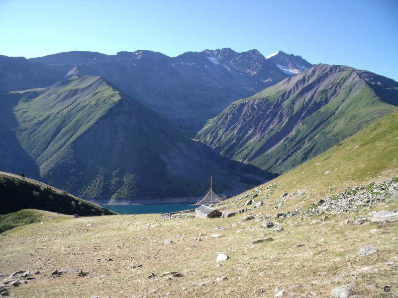 Bergerie.