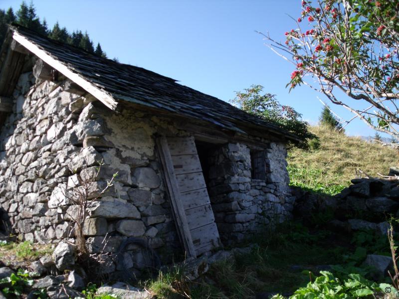 Bergerie.