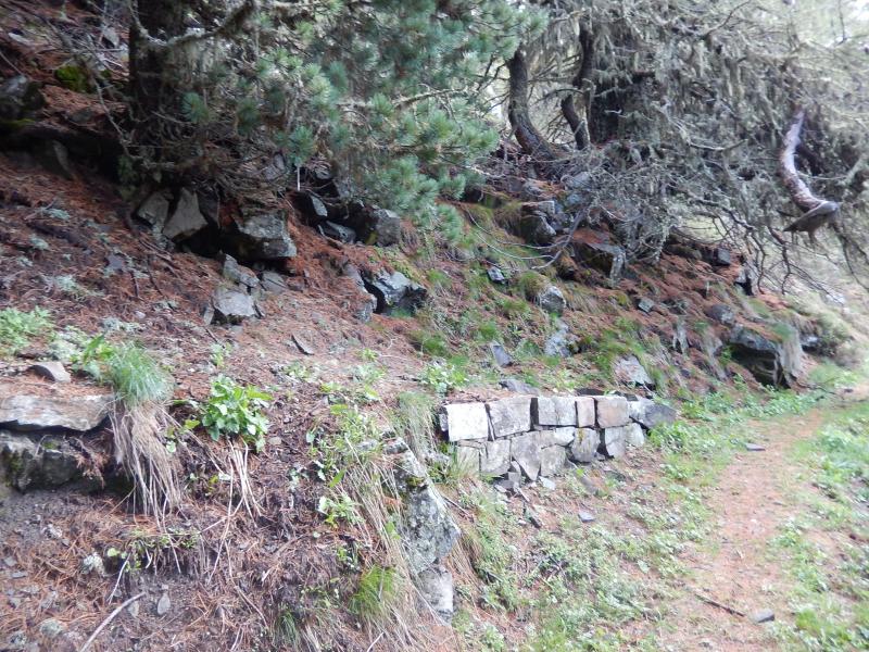 Bifurcation des sentiers vers la Crête du Lauzet