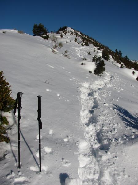Bonne épaisseur de neige