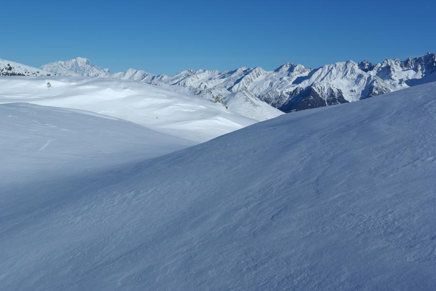 Bonne poudre tassée à mi hauteur.
