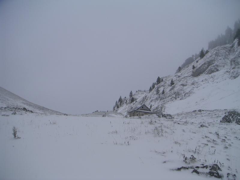 Bovinant, venté et soufflé