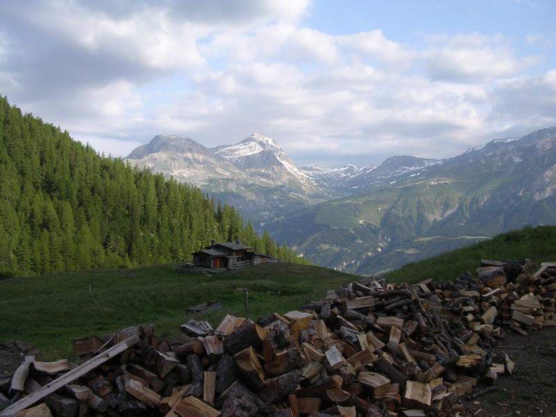 Bramanette la dent Parrachée