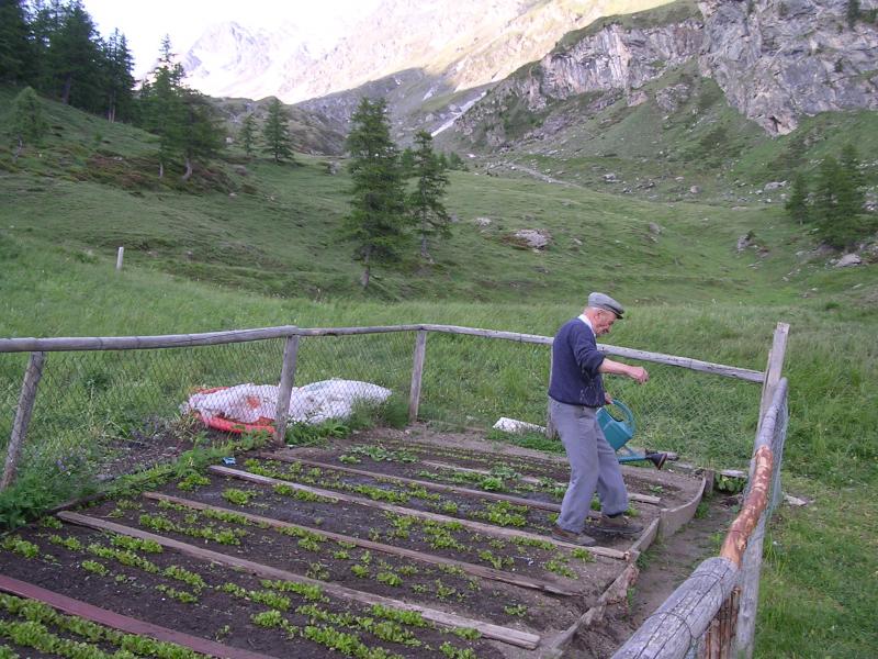 Bramanette Amédée au jardin