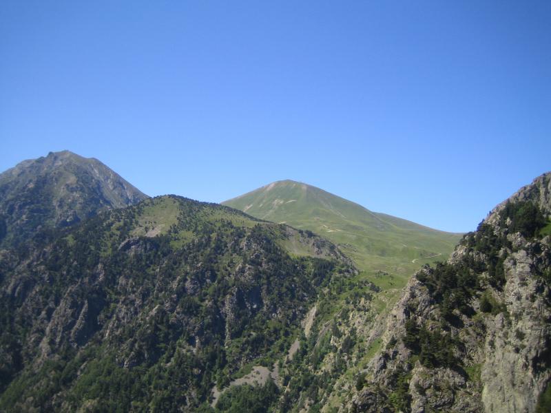 Brouffier